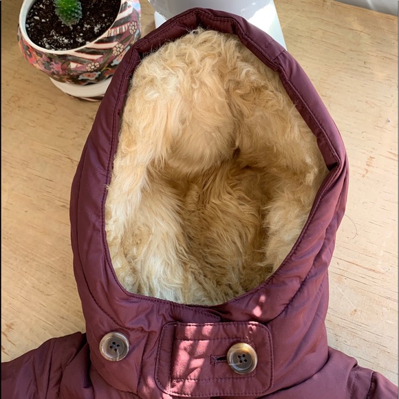 Crewcuts burgundy puffer coat SZ 2T - Picture 3 of 8